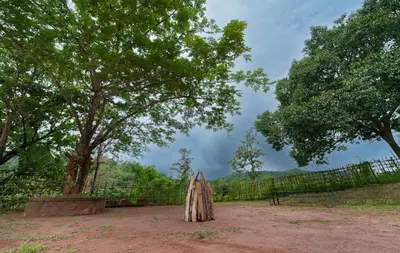 a tree stump sitting in the dirt near a fence at Misty Heights by The Sanihara in Vayittiri