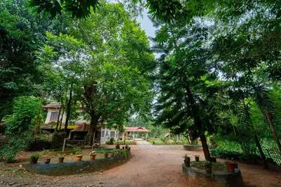 a dirt road with trees and a house in the background at Misty Heights by The Sanihara in Vayittiri
