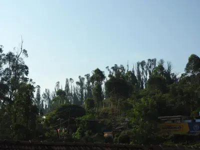 a hillside with trees and houses on it at Shanthi Villa in Coonoor