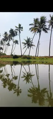 a reflection of palm trees in a body of water at Dragster Homes in Kizhake Chālakudi
