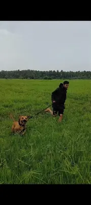 a man is pulling a dog on a leash at Dragster Homes in Kizhake Chālakudi