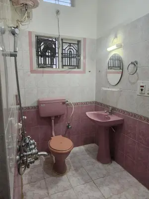 a bathroom with a pink toilet and a sink at RAATREE in Mysore
