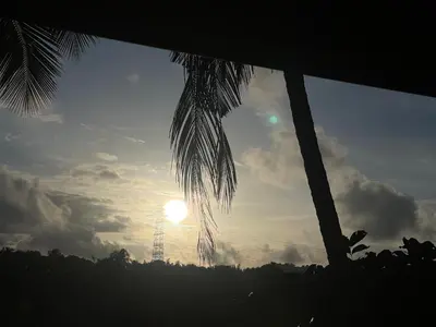 a view of the sunset from a palm tree at Sukrutham Farmstay in Trichūr