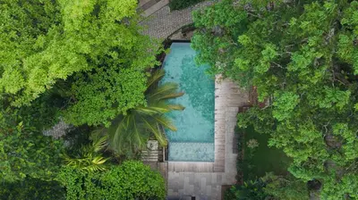an overhead view of a swimming pool surrounded by trees at Willow Resorts Wayanad in Ambalavayal