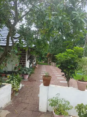 a brick walkway with potted plants and trees at CELESTIAL HOMESTAY in Pinangode