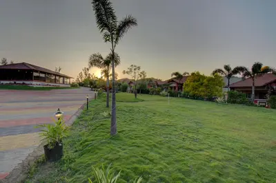 a palm tree in the grass in a yard at Woodstock Resorts in Madikeri