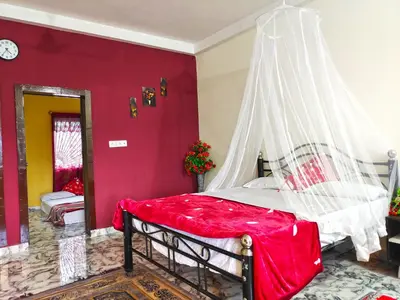 a bedroom with a bed with a mosquito net at Mannat Inn Homestay (Mysore) in Mysore