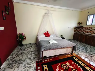 a bedroom with a bed with a canopy at Mannat Inn Homestay (Mysore) in Mysore
