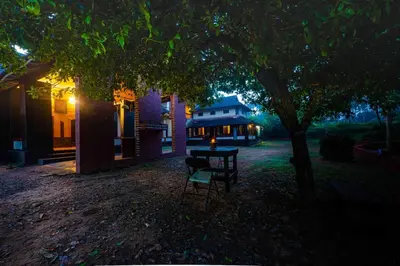 a table and a chair under a tree at night at Vintage Vista in Lakkidi