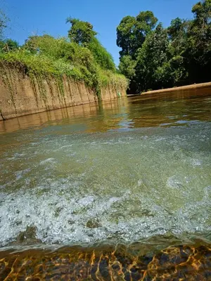 a river with some water and trees in the background at Nostalgia Homestay in Vythiri
