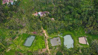 an aerial view of two ponds in a forest at Wayanad Palm Grove Retreat G Floor in Sultan Bathery