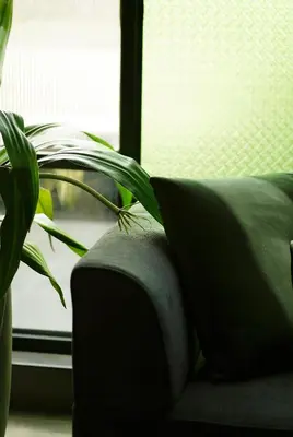 a couch with a plant next to a window at Lofterra in Kozhikode