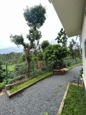 a gravel driveway with a fence and a tree at Marina Homestay in Devāla