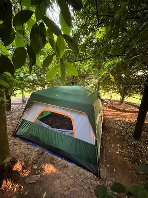 a green and white tent sitting under a tree at Dragster Tents in Kizhake Chālakudi