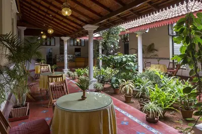 a patio with a table and a bunch of plants at The Green Hotel in Mysore