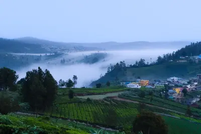 a foggy valley with a town in the middle at StayVista at Little Heaven with Breakfast in Ooty