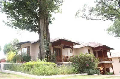 a house with a tree in front of it at KTDC Tea county in Munnar