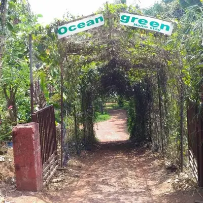 Ocean Green Kerala
