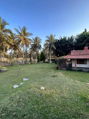 a large yard with palm trees and a house at Captain's Cabin in Masinagudi