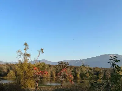 a view of a river with mountains in the background at Captain's Cabin in Masinagudi