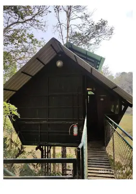 a staircase leading to a building with a roof at Tree House Wayanad in Muthanga