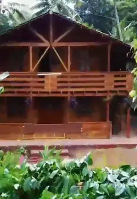 a wooden house with a bunch of plants in front of it at Coorg Northbreeze Wooden Stay in Madikeri