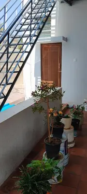 a group of potted plants sitting on the side of a building at Karimbummel House- A room with spacious Balcony in Mysore
