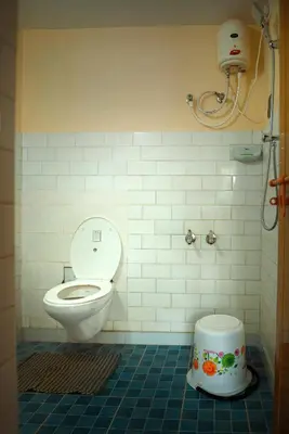 a bathroom with a toilet and a shower in it at Villa in the woods in Trichūr
