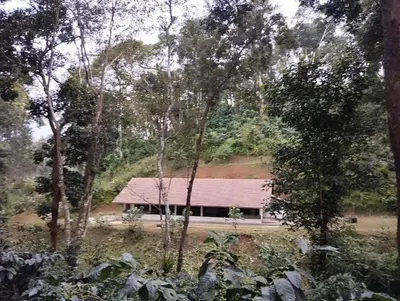 a house with a red roof in a forest at Creek Side in Madikeri