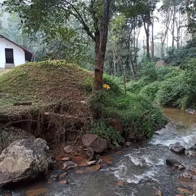 Creek Side
