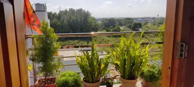 a window with potted plants on a balcony at Vrindavan - An Artists Nook in Mysore