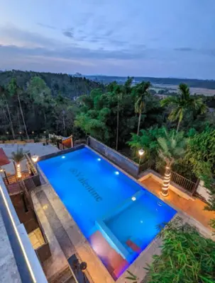 an overhead view of a swimming pool at night at Wayanad Valentine Pool Resort in Sultan Bathery