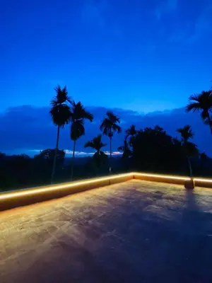 a night view of a parking lot with palm trees at Easy Inn Wayanad in Kaniyāmbetta