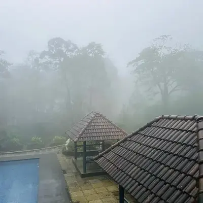 Elixir Woods Luxury Resort And Spa