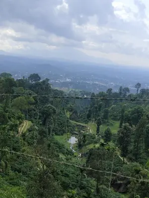 an overhead view of a forest with power lines at Chills homestay in Kalpetta