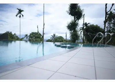 a swimming pool with metal sculptures in the middle at Chills homestay in Kalpetta