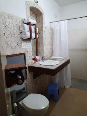 a bathroom with a toilet and a sink and a shower at Heritage Home, Hampe's in Mysore