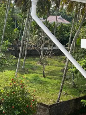a view of a yard with palm trees and a building at Elegant RiverView Villa in Cochin