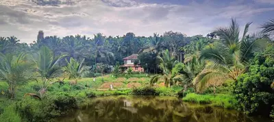 a house on a hill next to a river with palm trees at Paradise Single Room in Wayanad