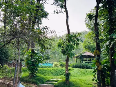 a garden with a path leading to a hut at The Mallika Holidays - A Cabin in Mananthavady