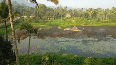 a body of water with palm trees and a lake at Souparnika Lakeview Homestay LLP in Wayanad