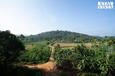 a dirt road in a field with trees at StayVista at The Big Chill with Breakfast Included in Wayanad
