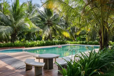 a pool with two benches and a table and palm trees at Thanima Farmlife experiential Farm Tourism in Nallepilli