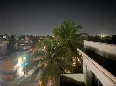 a view of a city at night with a palm tree at Roof top couple stay cozy in Mysore