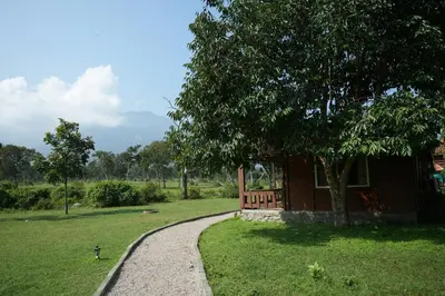 a house with a tree and a gravel road at labdhi Resorts Masinagudi- Stag Groups not allowed in Masinagudi