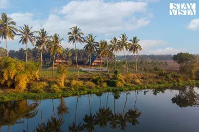 a view of a river and palm trees at Golden Triangle by VEO - Part of StayVista in Hampāpura