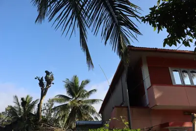 a building with palm trees in front of it at Coorg Stream Side Homestay in Ponnampet