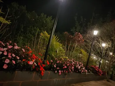 a flower garden at night with two street lights at Pear Tree Entire 2BHK Villa Kotagiri in Kotagiri