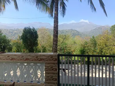 a balcony with a fence and a palm tree at Paradise Homestays, Kanthalloor in Kanthalloor