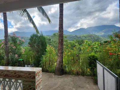 a balcony with a palm tree and a view of the mountains at Paradise Homestays, Kanthalloor in Kanthalloor